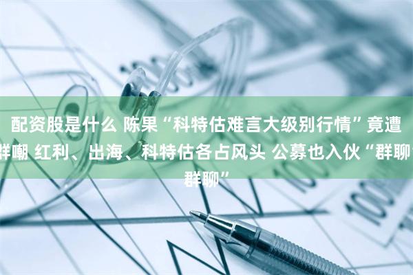 配资股是什么 陈果“科特估难言大级别行情”竟遭群嘲 红利、出海、科特估各占风头 公募也入伙“群聊”