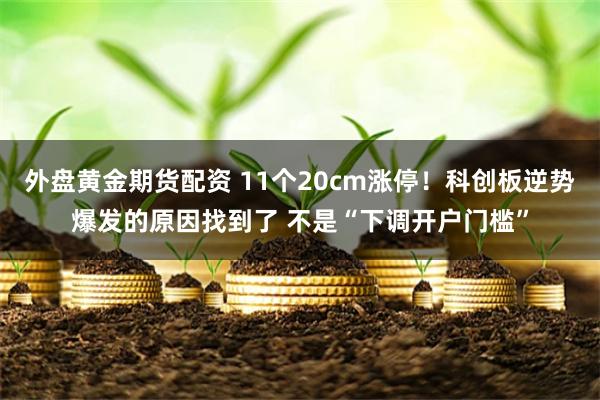 外盘黄金期货配资 11个20cm涨停！科创板逆势爆发的原因找到了 不是“下调开户门槛”