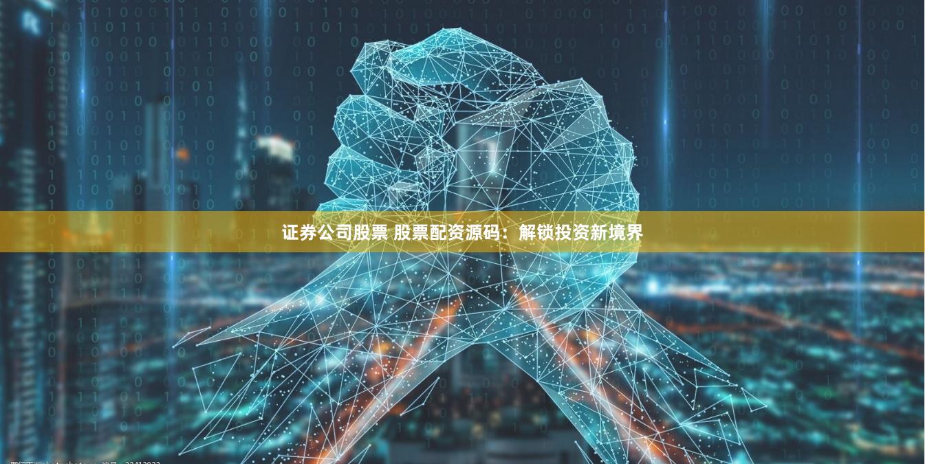 证券公司股票 股票配资源码：解锁投资新境界