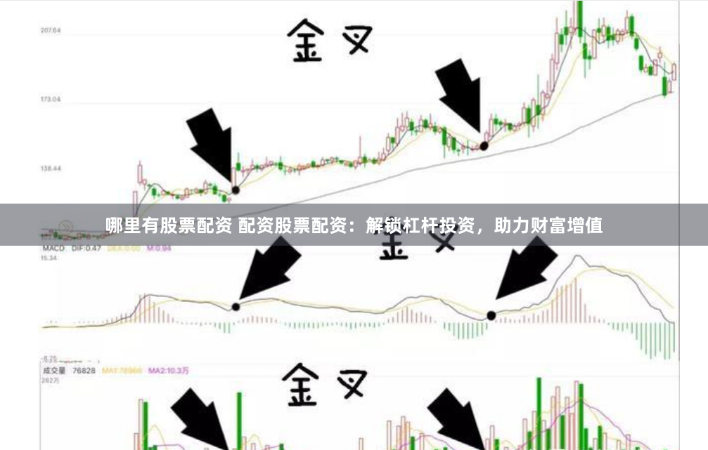 哪里有股票配资 配资股票配资：解锁杠杆投资，助力财富增值