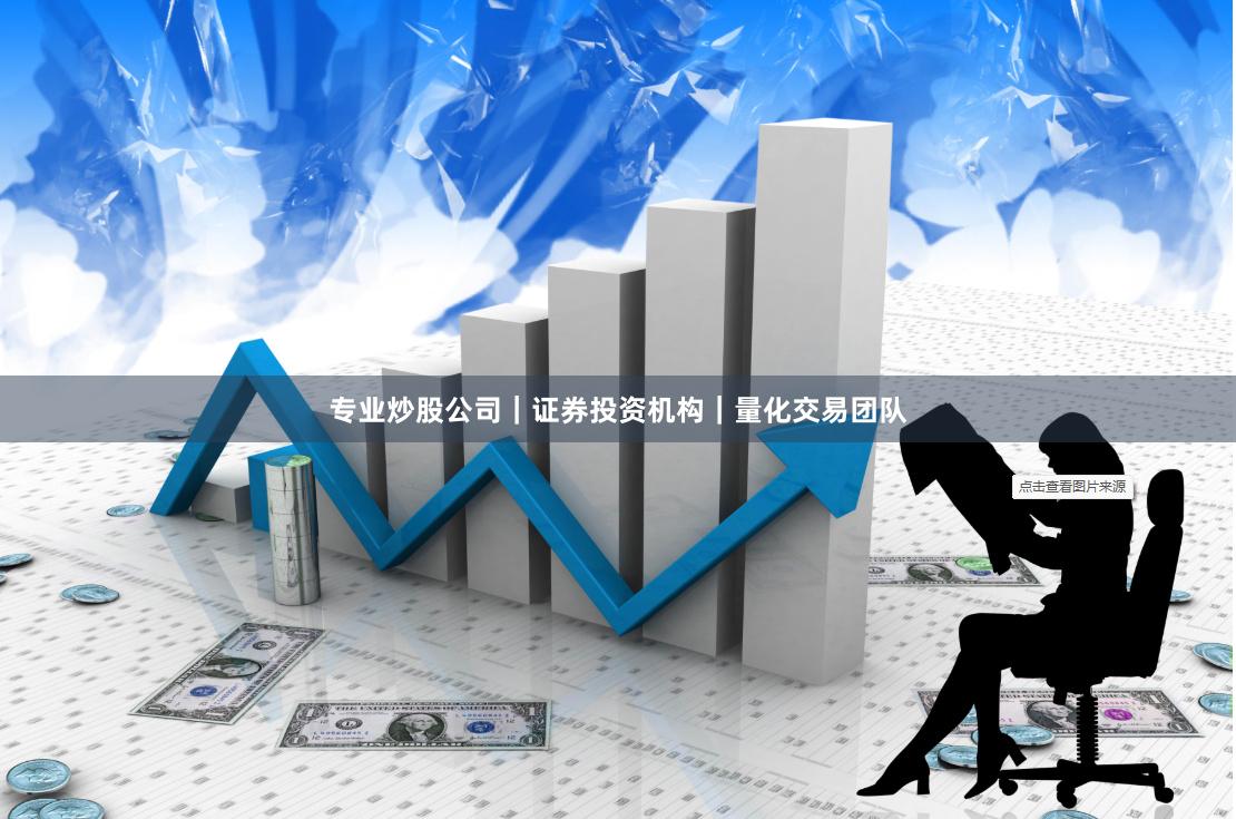 专业炒股公司|证券投资机构|量化交易团队