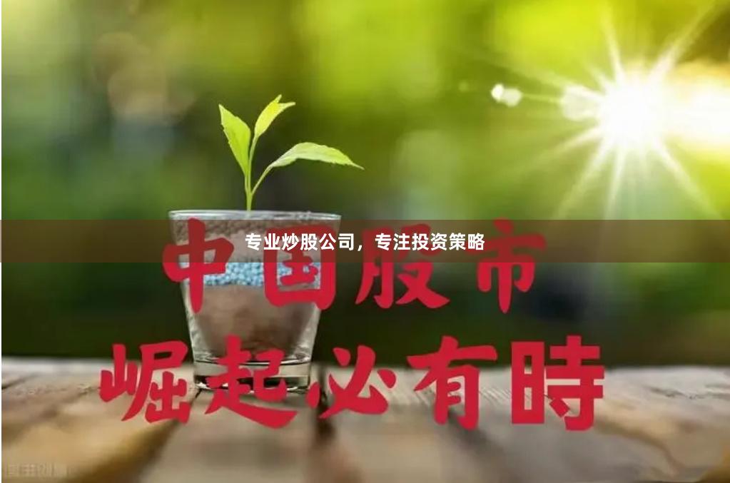 专业炒股公司，专注投资策略
