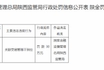 比亚迪汽车金融有限公司被罚30万元：因关联交易管理不到位