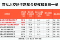 北交所主题基金 比较高
大赚50%！