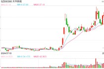 溢价近9000倍！孙公司25.1亿元竞得一锂矿，天华新能回应