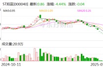 ST旭蓝：无法在责令改正期限内完成资金占用整改 1月6日起停牌