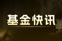 恐慌指数做多-iPath：涨幅近5%，大豆基金及油价基金各涨近2%