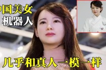 人工智能美女机器人，人工智能美女机器人费用