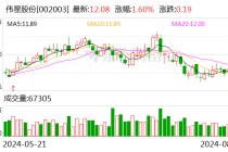 伟星股份：上半年净利同比增37.79% 拟10派2元