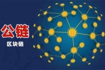 区块链中什么叫公链 - 区块链和公链的区别