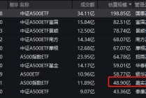 聚焦A500基金大战：嘉实中证A500ETF规模48.9亿元，位居同类倒数第二名，仅比成立3年的泰康基金强点儿