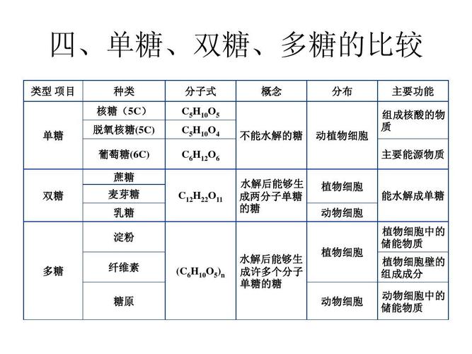 美罗世界最新新闻 - 美罗世界最新情况  第4张