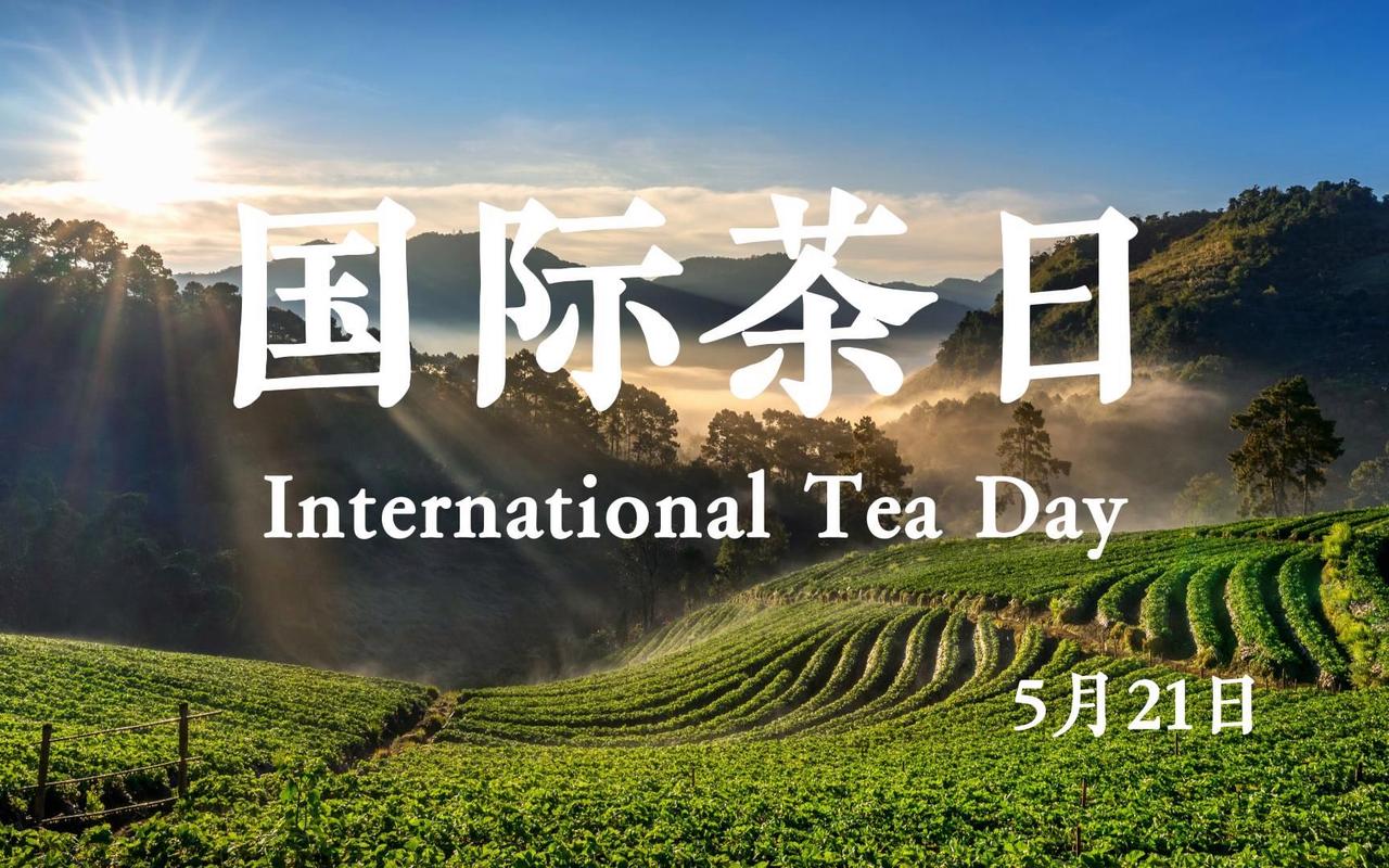 世界茶日合作新闻 - 世界茶日致辞  第5张