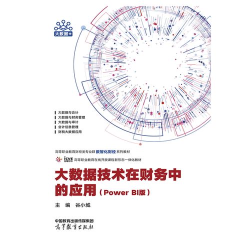 大数据在财务领域的应用，大数据在财务领域的应用PPT  第3张