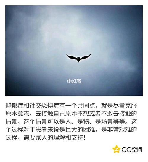 东方夏威夷世界新闻 - 东方夏威夷鸟瞰图  第2张