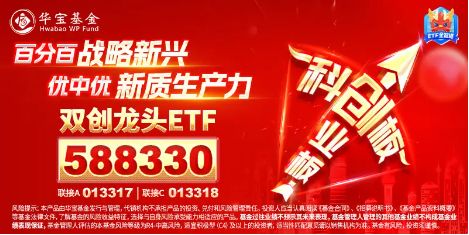 半导体领衔，创业板+科创板联袂狂飙，成长“战斗基”——双创龙头ETF（588330）盘中涨超2%  第3张